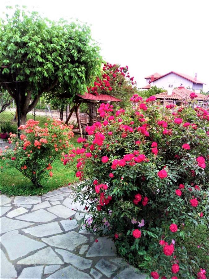 Villa Jenny Лептокария Екстериор снимка