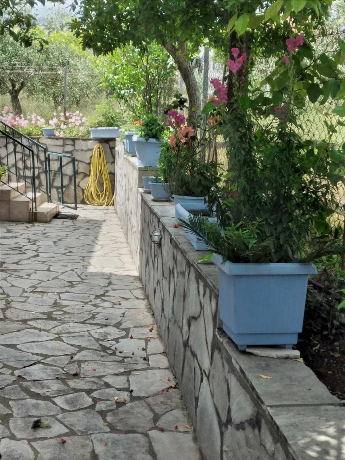 Villa Jenny Лептокария Екстериор снимка